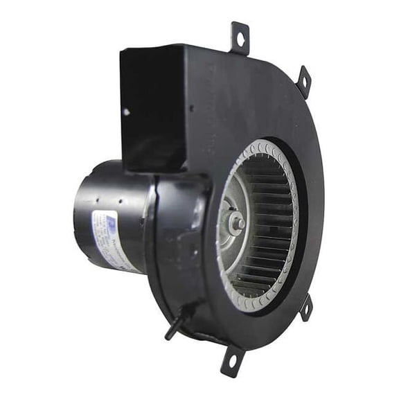 Packard Draft Inducer, 115, Metal Housing, 9 1/4 in W, 7 in H 82483