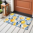 thumbnail image 4 of 2x3 Ft Entryway Area Rug, Summer Lemon Kitchen Rug Runner Washable Floor Mat, Spring Pastoral Watercolor Fruit Blue Yellow Non Slip Indoor Door Mat Throw Carpet for Bathroom Living Room Bedroom, 4 of 8