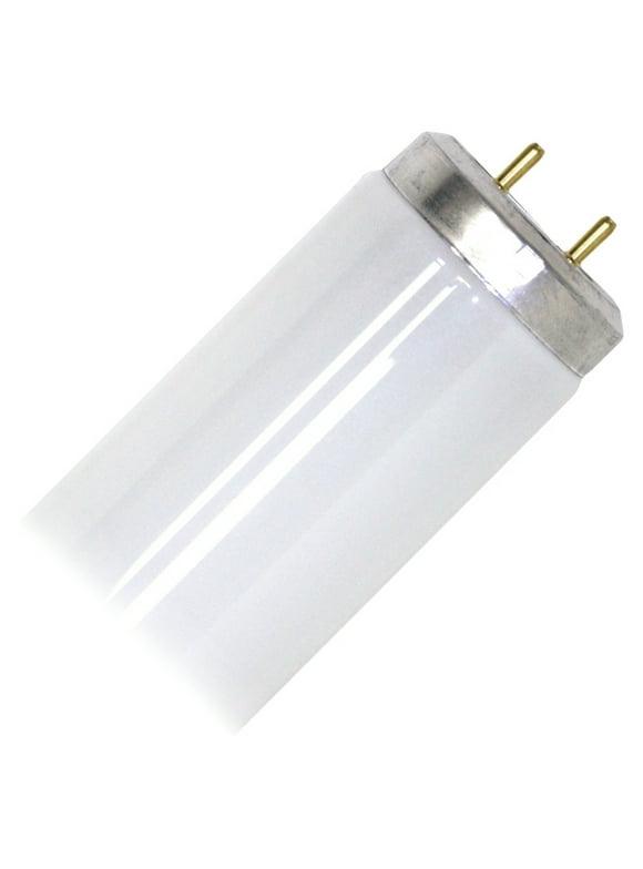 Fluorescent Light Bulbs