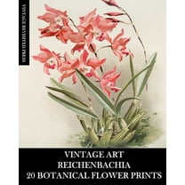 Vintage Art: Reichenbachia 20 Botanical Flower Prints: Flora Ephemera for Framing, Home Decor and Collage, (Paperback)