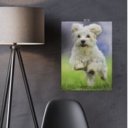 JigFun 500 Piece Puzzle, Jumping Dog Jigsaw Puzzle for Adults/Teens (Puzzle Saver Kit Included)