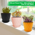 thumbnail image 5 of 6-Inch Plastic Plant Pots, 5-Pack Flower Pots with Drainage Holes & Saucers, Indoor Outdoor Planters for Garden & Home, Multicolor, 5 of 8