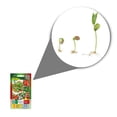 thumbnail image 2 of Semillas Paquete Ensalada 5 variedades Vita, 2 of 5