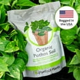 thumbnail image 3 of Organic Pothos Soil Potting Mix in 4qt Bag for All Potted Pothos Grow Healthy houseplants, 3 of 5