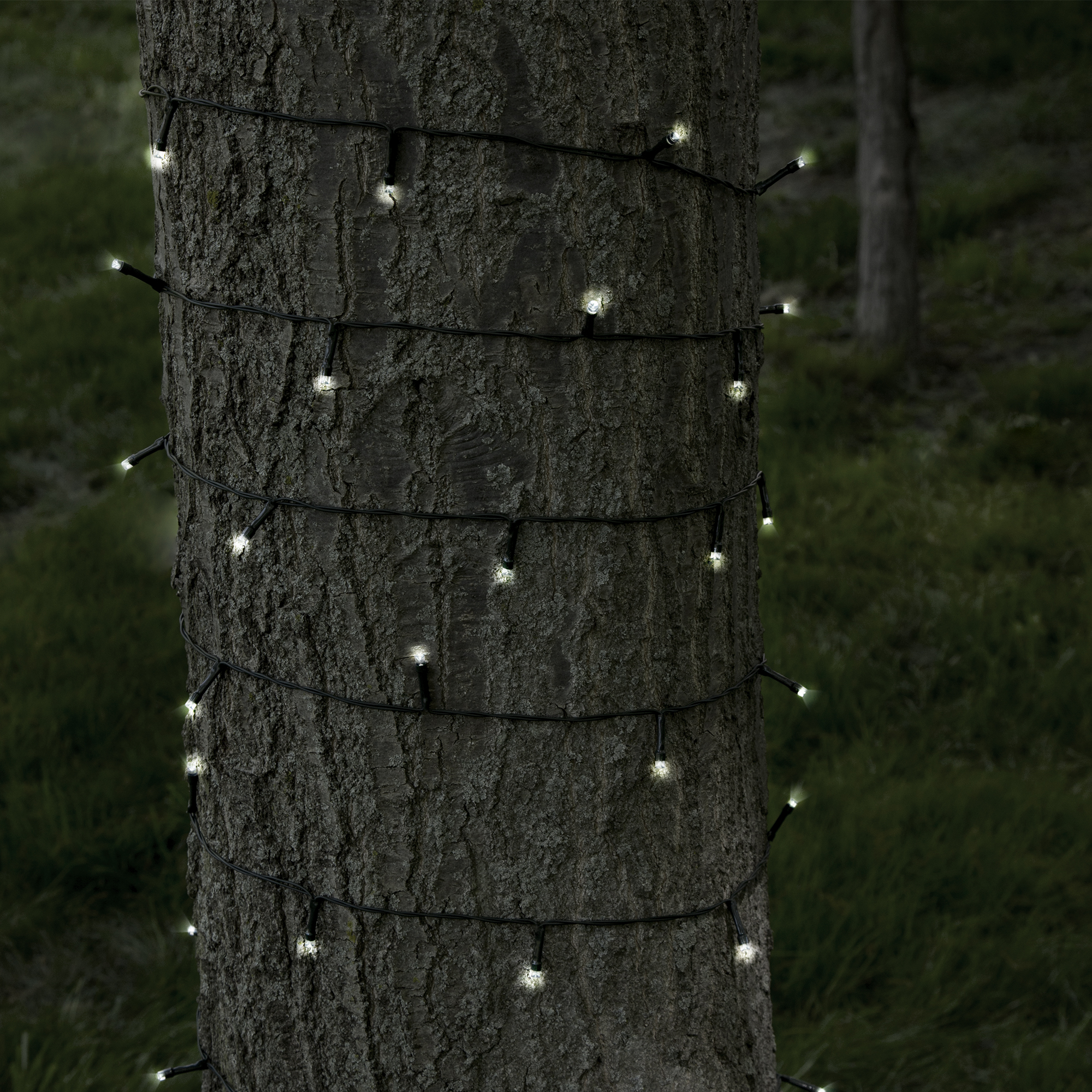 Pure Garden 39-Foot Solar Powered LED String Lights with 100 White Bulbs - image 3 of 8