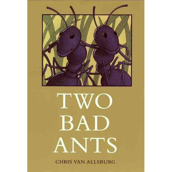 Pre-Owned Two Bad Ants Paperback