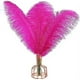 thumbnail image 1 of Xiao Hua 12 plumas de avestruz fucsias naturales a granel de 40 a 45 cm para centros de mesa de bodas, fiestas, Pascua, Gatsby y decoración del hogar., 1 of 5