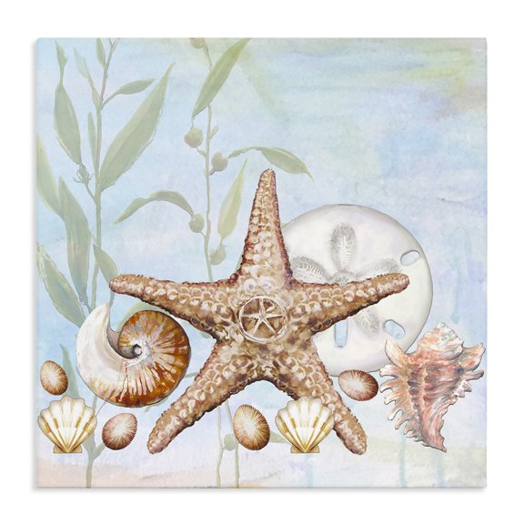 Stupell Industries Traditional Starfish Seashells Underwater Plants Ocean Beach Canvas Art, 24 x 24, by Diannart