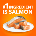 thumbnail image 4 of Iams Proactive Health Adult Indoor Weight & Hairball Care Dry Cat Food with Salmon 7.26kg, 4 of 15