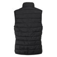 thumbnail image 2 of Regatta Gilet Hillpack II pour Femmes, 2 of 7