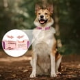 thumbnail image 3 of Collares De Perro Personalizados Con Nombre, Grabado, 3 of 3