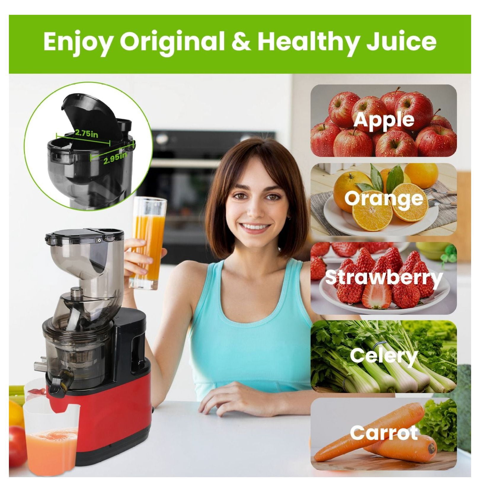 Cold Press Juicer Machine 300W Electric Slow Masticating Juicer for Whole Vegetable and Fruit with Reverse Function 2 Containers Cleaning Brush Clear Marks Easy Cleaning