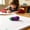 Purple PP 1 Pack, variant on AuroraX Fruit Shaped Eraser Soft Rubber Eraser Colorful Non Toxic Latex Free Easy Erase Cute Eraser for Drawing Green