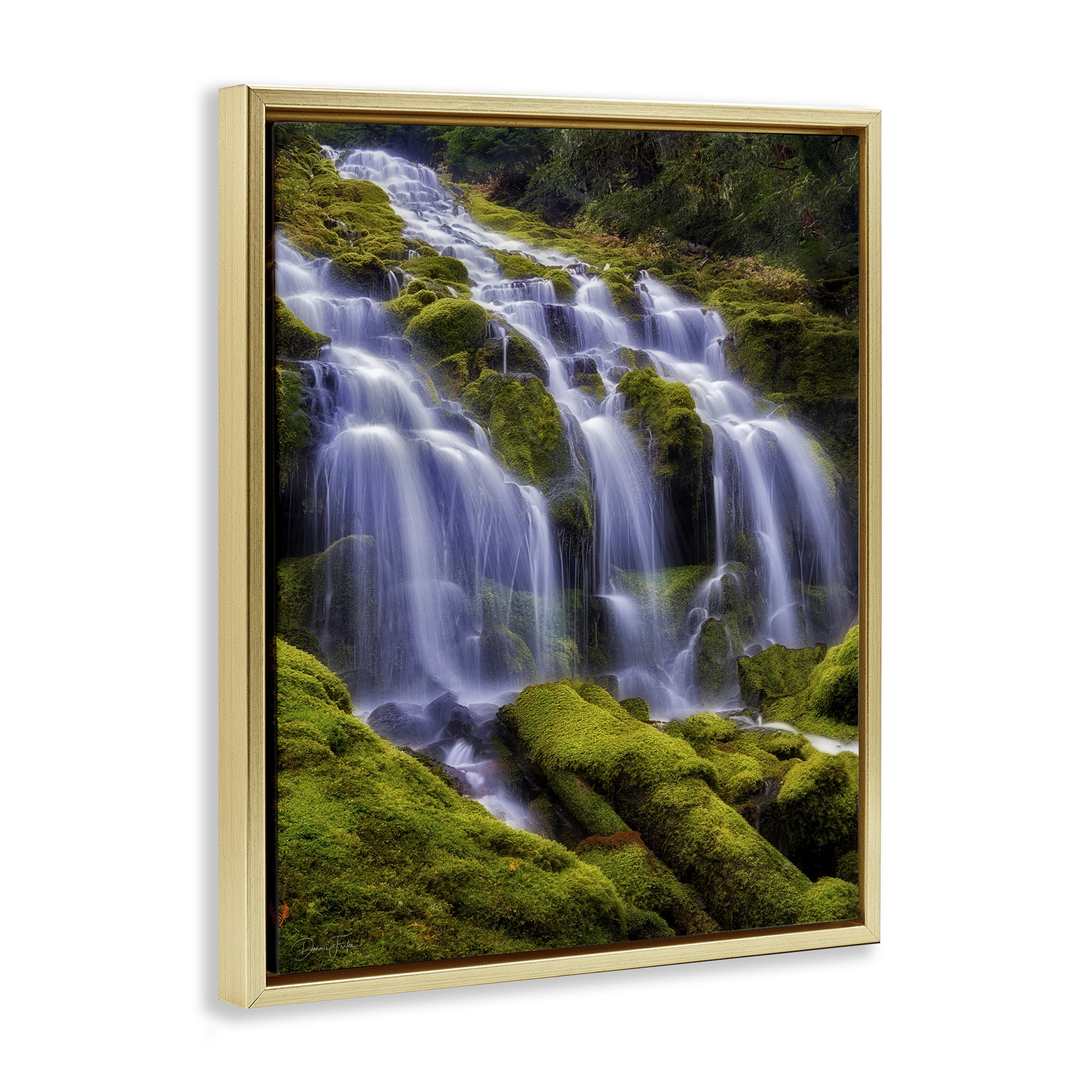 Stupell Industries Upper Proxy Falls Gold Framed Floater Canvas Wall Art, design by Dennis Frates