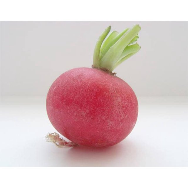 2000 Graines de Radis Géant Cramoisi Raphanus Sativus Légumes