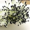 thumbnail image 6 of U8MO 1400 Pcs Double Color Hand-Made Artificial Flower Stamen Pistil Cotton String-Yellow, 6 of 7