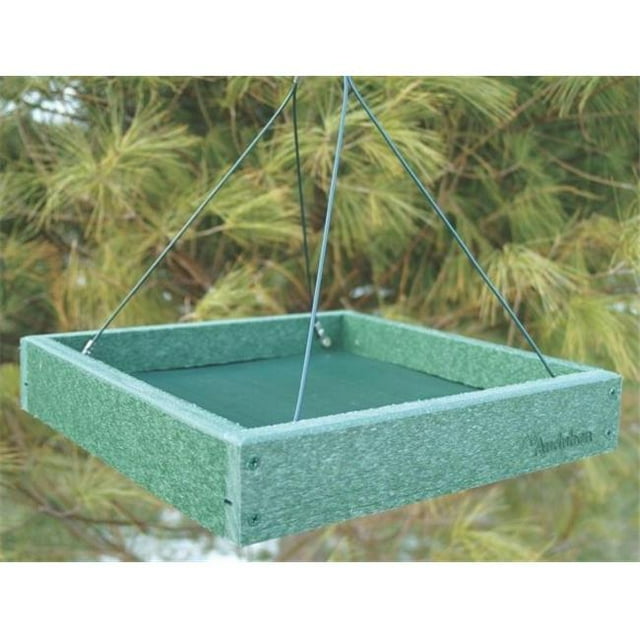 Audubon-woodlink - Alimentation Plate-Forme Verte - Vert 12,75x12,75x2,5 - NAGGPLAT