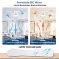 thumbnail image 2 of Ventilador de techo Wiviniya de 52 pulgadas con luces y control remoto blanco, 2 of 9