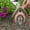 A, variant on YYKihy New Patio Fairy Door Garden Wooden Decoration Outdoor Decoration Wooden Crafts Small Door