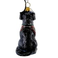 thumbnail image 3 of Black Lab In Vest - 1 Ornament 3.5 Inch, Glass - Ornament Fetching Ring Dog ZKP4609BLF, 3 of 5