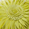thumbnail image 3 of Vorkoi 3D Sunflower Handmade Throw Pillow Covers Decorative Floral Pillowcases Cushion Covers for Couch Living Room Home Decor Creamy 18x18 In, 3 of 14