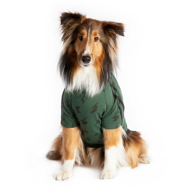 staan voorkomen Positief Coco + Rebel Pet, Green Lightning Bolt Athletic Dog T-Shirt - Walmart.com