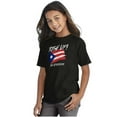 thumbnail image 3 of Rise Up Puerto Rican Pride Se Levanta Men's Graphic T Shirt Tees Brisco Brands L, 3 of 4