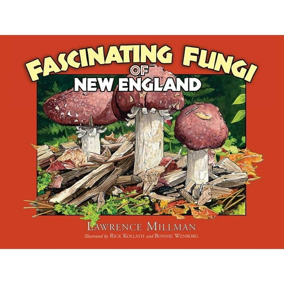 Fascinating Fungi Fascinating Fungi of New England, (Paperback)