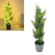 thumbnail image 1 of Decorációe de árbol cipress encendida iluminada usb led mini de la mesa led de luz, 1 of 7