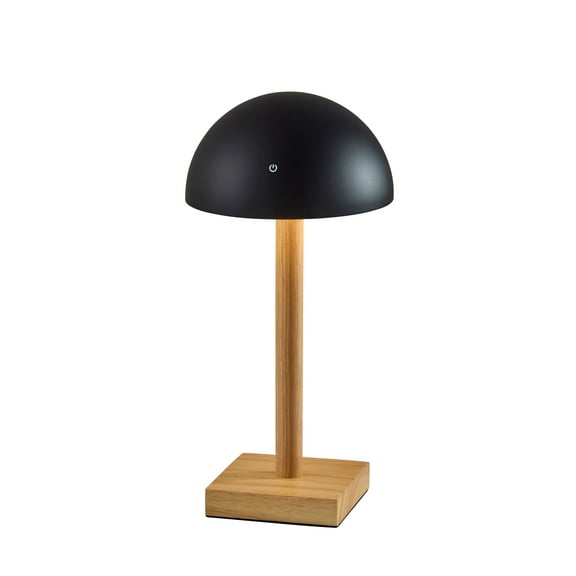 Adesso Nash 12" 1-Light Touch Dimmer Rechargeable LED Cordless Indoor Outdoor Table Lamp