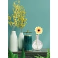 thumbnail image 3 of Serene Spaces Living Clear Bottleneck Bulb Glass Vase, 5.3" Dia & 7.48" Tall, 3 of 6