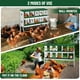 thumbnail image 4 of Cajas Nido para Gallinas, Caja Metálica con 10 Compartimentos, Percha, Tapa Segura, Versátil para Montaje en Pared, 4 of 7