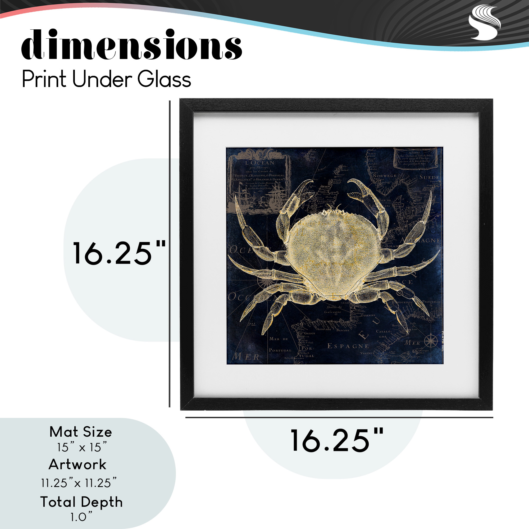 Crab Contour over Map Black Framed Print Under Glass, design by Sasha