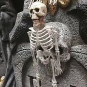 Halloween Human Skeleton Bone Model 15.7 Inches Movable Joints for Haunted Houses Graveyard Holiday Decoration