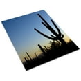 thumbnail image 3 of Print: Saguaro Cactus Near Tucson, Arizona, 2008, 3 of 4