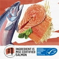 thumbnail image 4 of Purina Beyond Wholesome Ingredients Indoor Dry Cat Food, Salmon & Rice, 3 lb Bag, 4 of 11