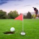 thumbnail image 4 of OULII 4Ud Portátil De Copa De Golf Para Entrenamiento Profesional En Casa Y Oficina, 4 of 8