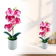 thumbnail image 2 of Artificial Orchid in Pot, Fake Phalaenopsis Orchid, Faux Butterfly Orchid Plant, Silk Flower Arrangement, Potted Bonsai Plant for Home Office Indoor Decoration, Table Centerpiece Ornament, 2 of 7