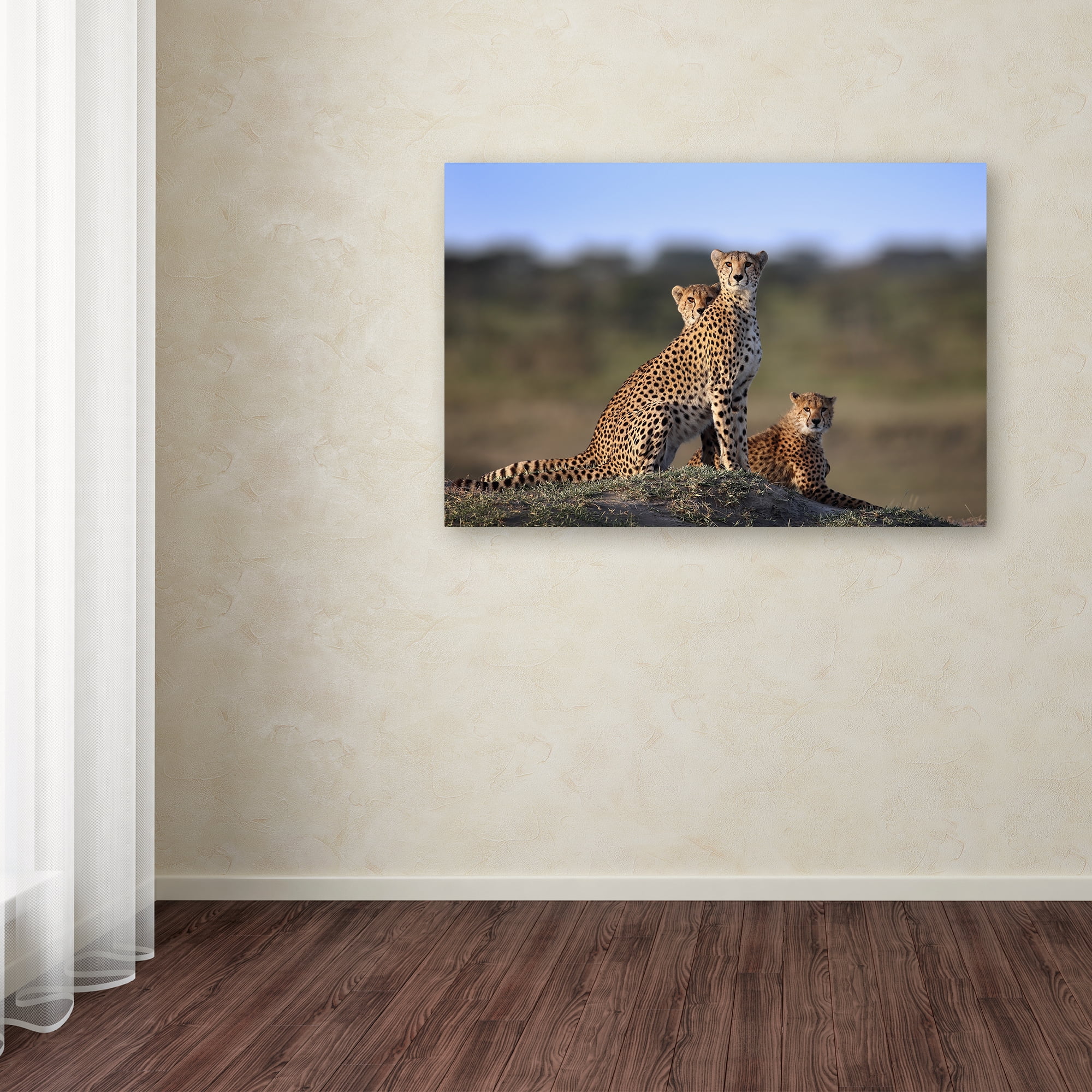 Trademark Fine Art 'Cheetahs Family' Canvas Art by Sultan Sultan Al