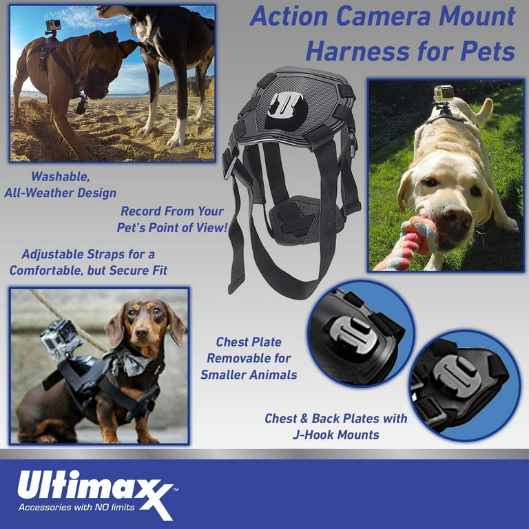 Ultimaxx Action Mount Harness for Pets Compatible with Most Action Cameras