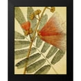 thumbnail image 2 of Hunziker, Steve 15x18 Black Modern Framed Museum Art Print Titled - Botanical Grunge I, 2 of 5
