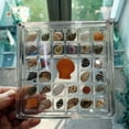 thumbnail image 7 of Shell Storage Box Mini Conch Micro Shell Specimen Collection Height Transparent Box Acrylic Storage, 7 of 7