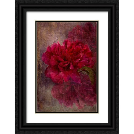 Murdock, Ramona 11x14 Black Ornate Wood Framed with Double Matting Museum Art Print Titled - Tapestry Rose