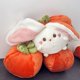 thumbnail image 4 of Ganfancp Pascua de Peluche Lindo Conejito Muñeca de Juguete, 4 of 7