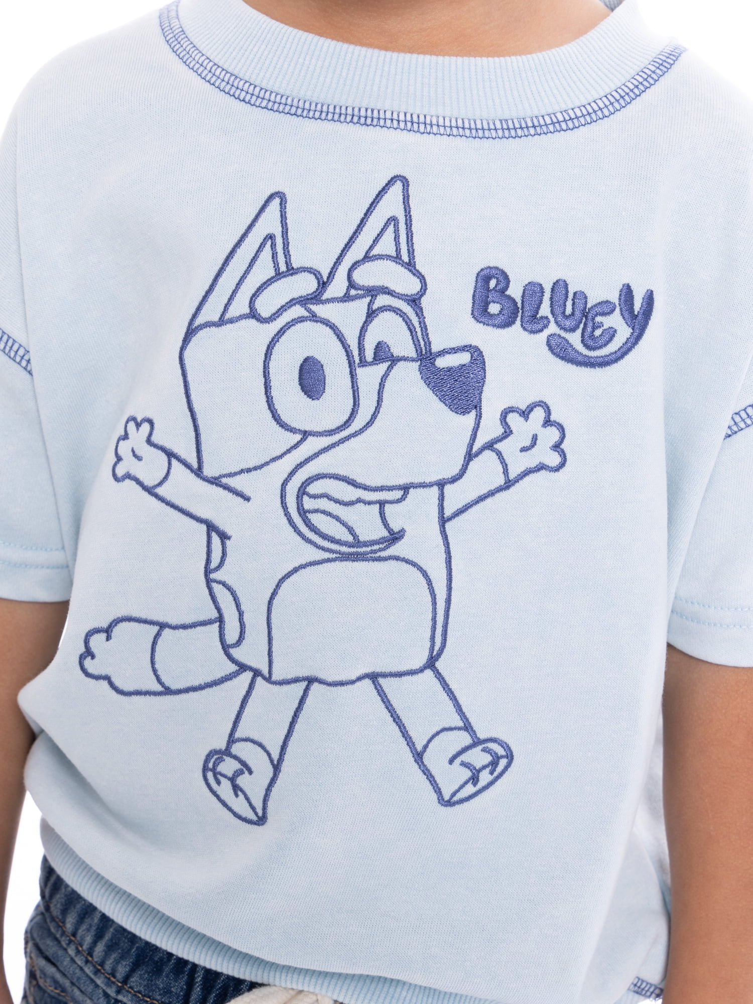 Bluey Toddler Boy Embroidered Graphic Short Sleeve Crewneck Sweatshirts, Sizes 12 Months- 5T