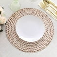 thumbnail image 2 of Efavormart 6 Pack | 13" Wheat Woven Rattan Design Disposable Serving Trays, Round Paper Charger Plates, 2 of 11