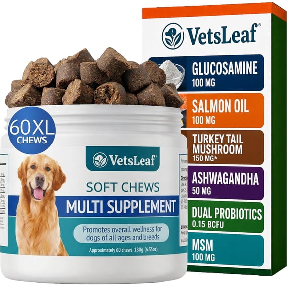 VetsLeaf Dog Multivitamin Chews - Glucosamine, Probiotics, Salmon Oil, Mushroom Blend & Ashwagandha - Daily Dog Vitamins for Immune, Joint, Skin, Gut and Energy Support - Made in USA - 60 Count