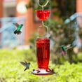 Kingsyard Glass Hummingbird Feeder for Outdoors Hanging for Garden Yard, Red (Ant Moat Included