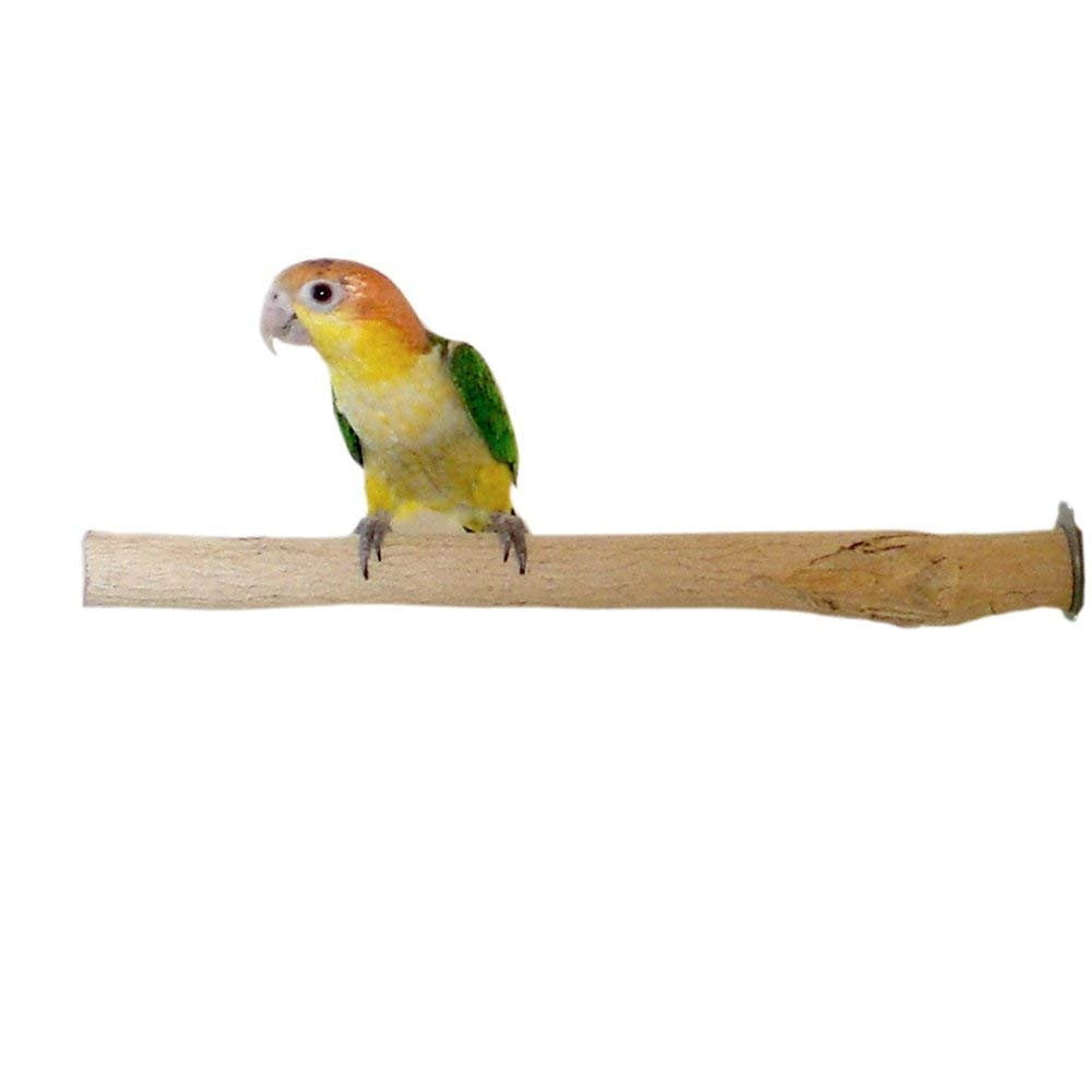 Birds LOVE Bottlebrush Wood Bird Cage Perch