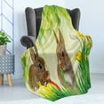 thumbnail image 4 of Easter Bunny Soft Flannel Fleece Throw Blanket, Brown Litte Rabbits Meadow Green Grass Spring Easter Photography, Cozy Plush for Indoor and Outdoor Use, 50" x 60", Multicolor Fern Green, by Ambesonne, 4 of 5